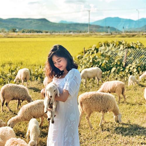 Tour Bình Hưng – Ninh Chữ – Vĩnh Hy 2N2Đ | Lặn Ngắm San Hô | Tiệc BBQ (DPT14)